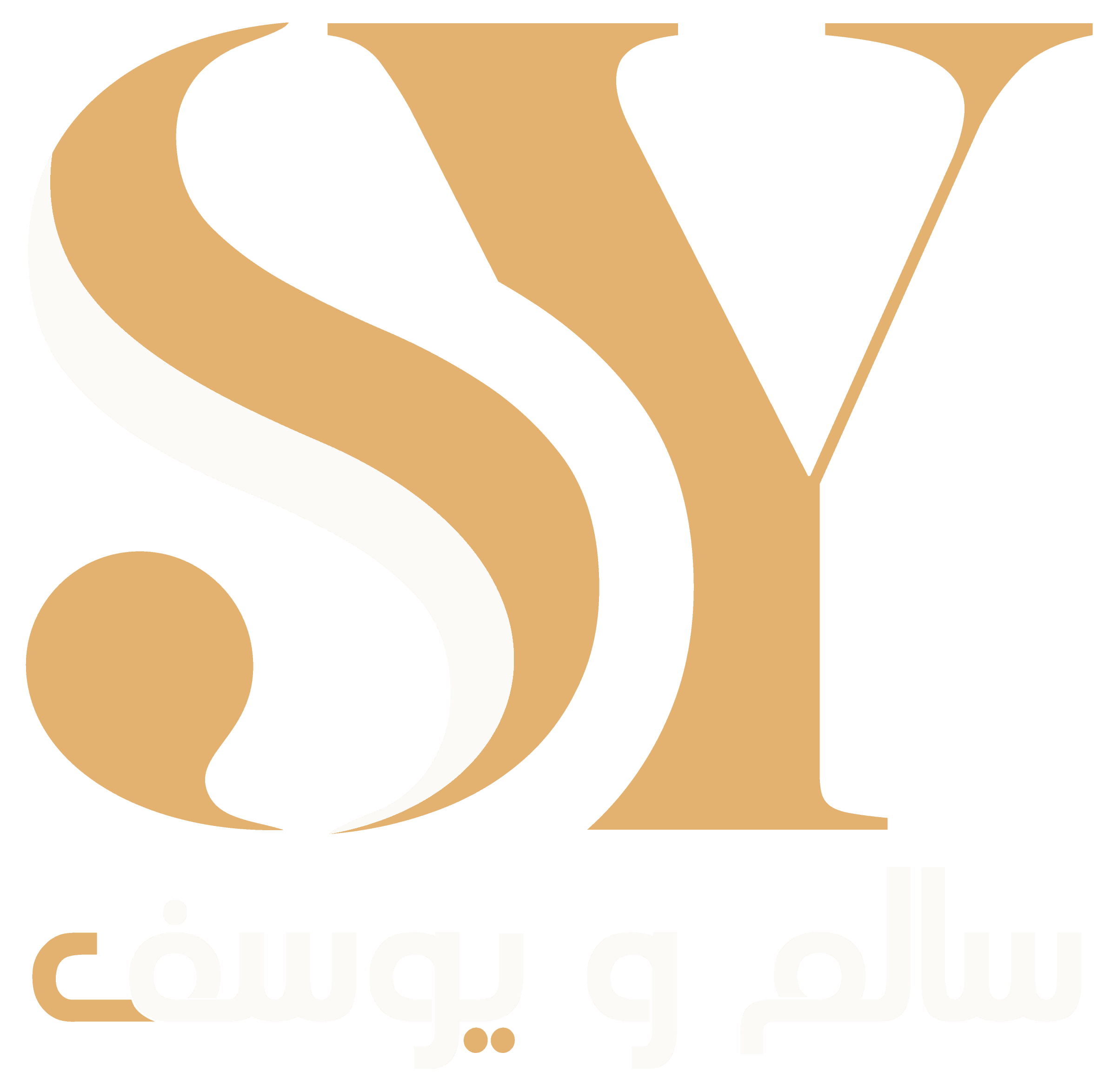 Salem & Youssef — Tech Solutions